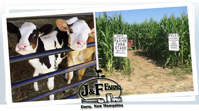 J & F Farms Corn Maze - Derry, NH