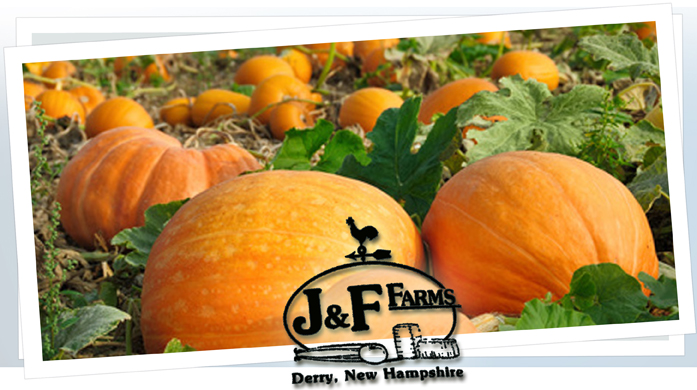 J & F Farms Pumpkins - Derry, NH