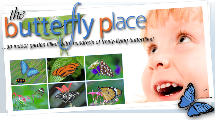 The Butterfly Place - Westford, MA
