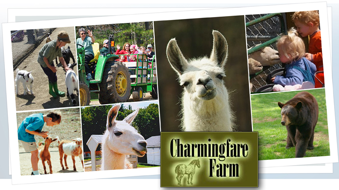 Charmingfare Farm - Candia, NH